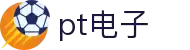 pt电子(中国)官方网站-ptgames
